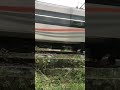 #keretaapi #nscrstation #train #fasttrainindonesia #cc KA Sancaka Speed Power .