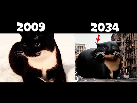 evolution of MaxWell the Cat meme