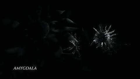 Max Richter - SLEEP: Return 2 (song) [Piano Short Edit] Visualizer