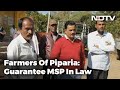 New Mandi Laws Costly For Farmers In Madhya Pradesh?