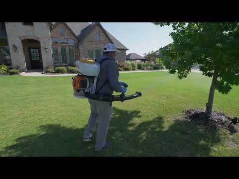 What is the best mosquito control for a yard?