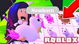 Getting EVERY PET in Roblox Adopt Me!