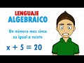 LENGUAJE ALGEBRAICO Super facil - Para principiantes PARTE 1