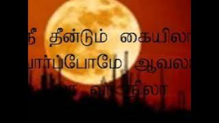 KALYANA THEN NILA  With lyric.wmv