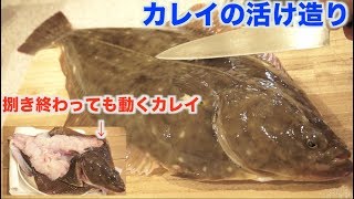 カレイを活け造りにしたらすごいことになった！！