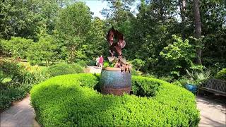 Visiting Garvan Woodland Gardens in Hot Springs, Arkansas