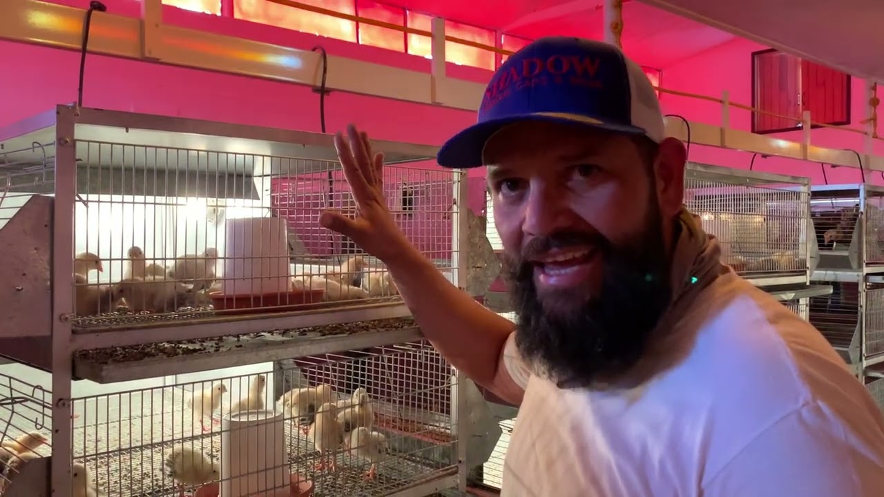 Los Primeros 21 días de Vida