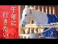 【2026年・午年】京都の馬にゆかりのある神社4選！初詣で行きたい最強パワースポット