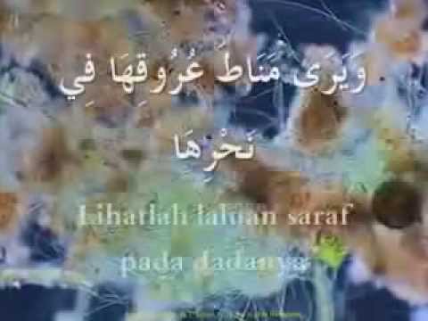 أنشودة يا من يرى مد البعوض جناحها أحمد بو خاطر