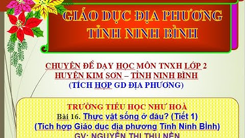 CHUYÊN ĐỀ MÔN TNXH LỚP 2/Bài 16./Thực vật sống ở đâu?(TH Như Hoà - CĐ Huyện - Tích hợp GDĐP NB)/NKD