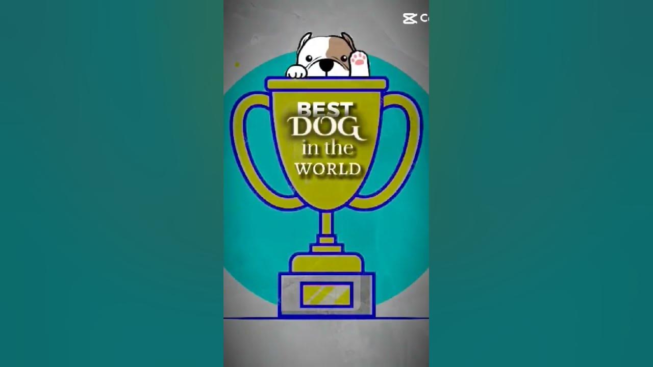 best-dog-in-the-world-dog-sweetpuppy-youtube