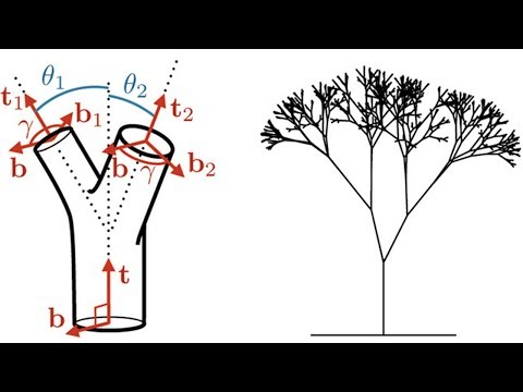 Professor John O'Connor - branching tree physics
