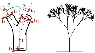 Professor John Oconnor - Branching Tree Physics