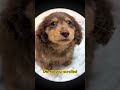 Can I be your friend?