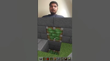 Double Block Swapper In Minecraft #shorts