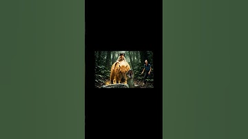 capybara | LIKE SNACKS@ | ẩm thực trên cây chuối