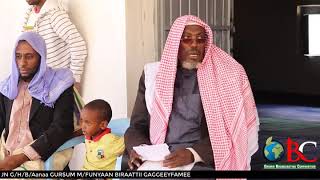 Obc-Sagantaa Zakkaa Fixrii Warreen Harka Qalleeyyiif Hiran Ghbaanaagursummfunyaan Biraattii