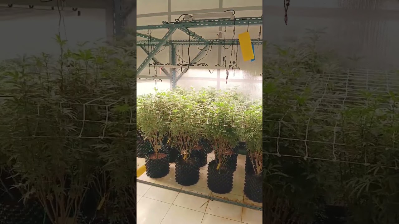 Spring Sowing Season by marshydro FCE8000 