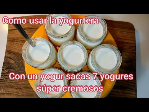 Como usar la yogurtera Como hacer yogures con un yogur natural o griego