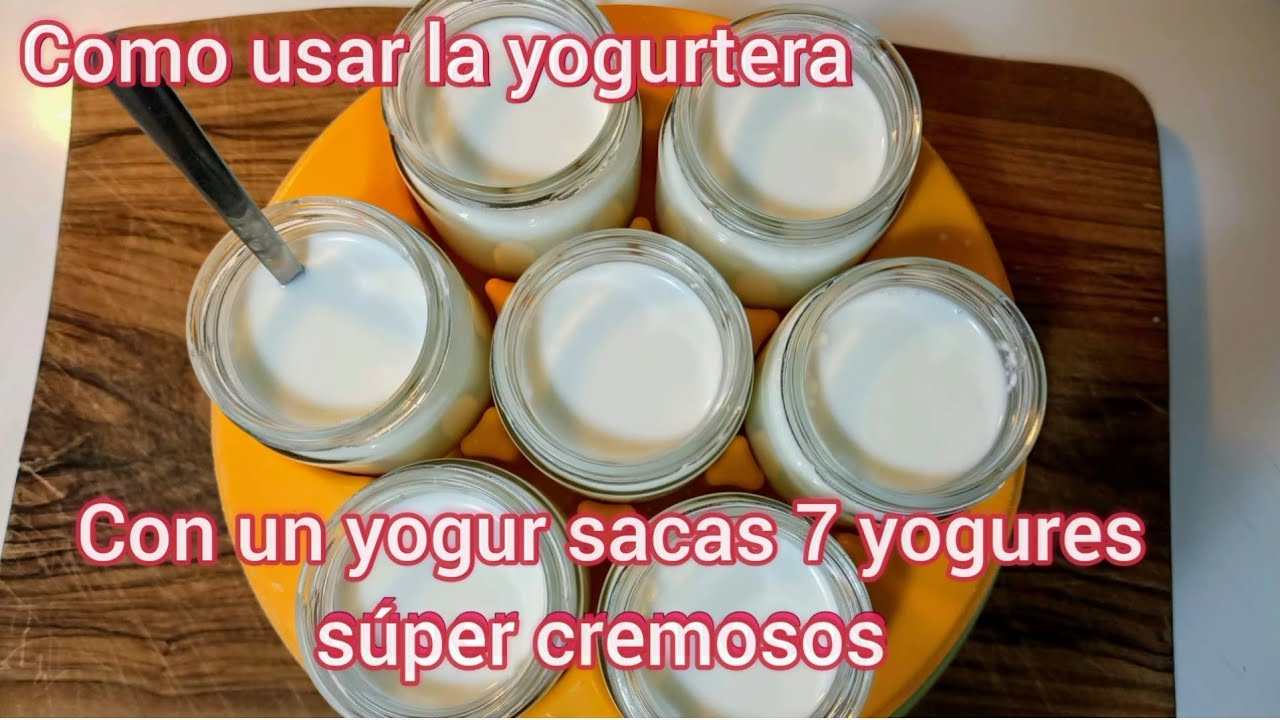 Como usar la yogurtera Como hacer yogures con un yogur natural o griego