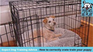 How to correctly crate train your dog or puppy - Expert Dog Training Tips | S5 Ep7 | Pooches at Play