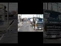遮断機が下りるも強行突破！苦笑いするトラック乗り　 #ドライブレコーダー #ドラレコ #事故 #危険運転 #当て逃げ #車載動画