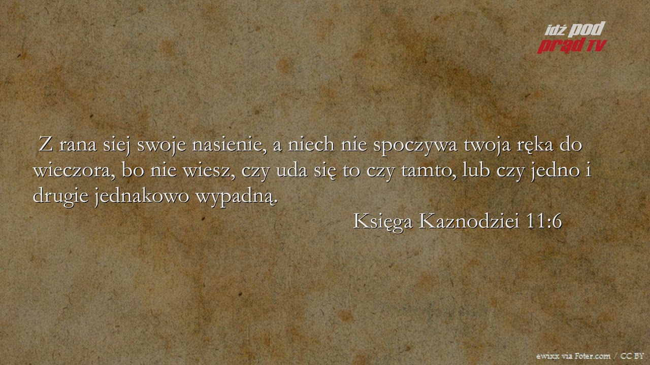 BIBLIA NA CO DZIEŃ: Księga Kaznodziei #11 episode artwork