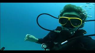 Puerto Morelos Shipwreck Dive!
