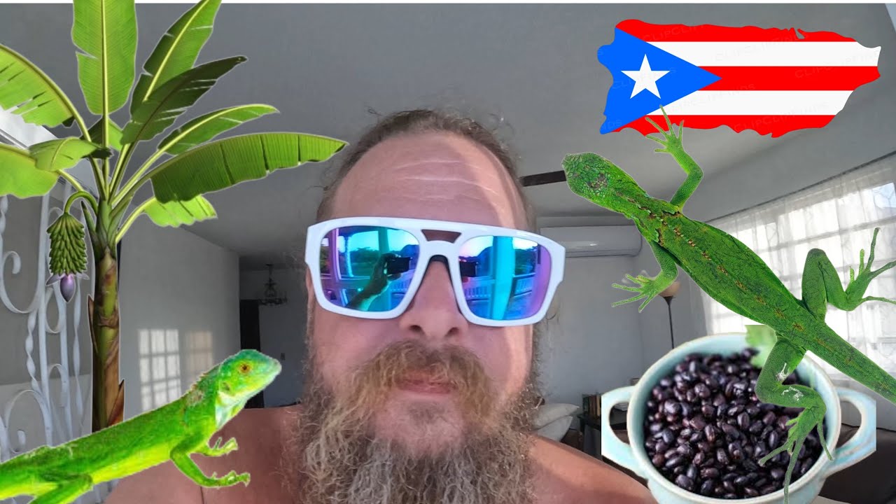 Growing plantains, cooking Cuban black beans, & catching baby iguanas in Puerto Rico ￼￼