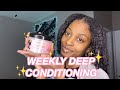 DEEP CONDITIONING MY TYPE 4 HAIR USING CAMILLE ROSE ALGAE RENEW| WEEKLY DEEP CONDITION EP.1|Bri Bbyy