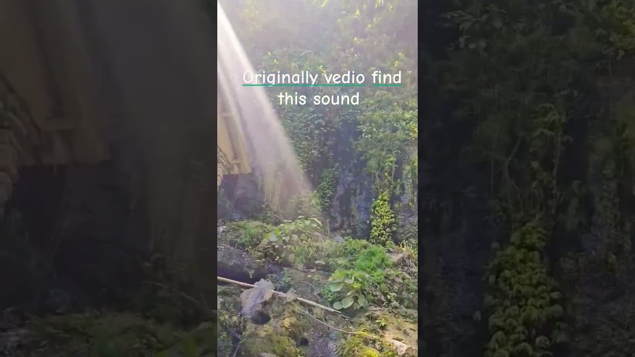 original content find