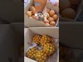 All Indian and imported fruits