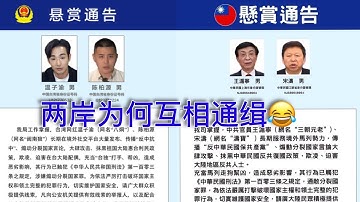 打情骂俏！两岸为何互相通缉对方高官🤣🤣🤣