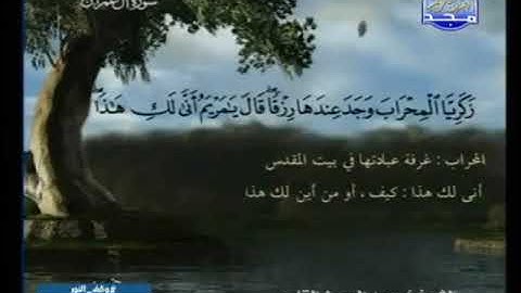 ما تيسر من سورة آل عمران عبد المحسن القاسم