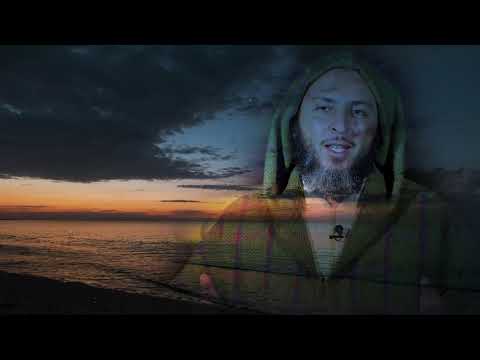 ماذا حصل عندما تخاصم أبو بكر الصديق مع عمر بن الخطاب الشيخ سعيد الكملي