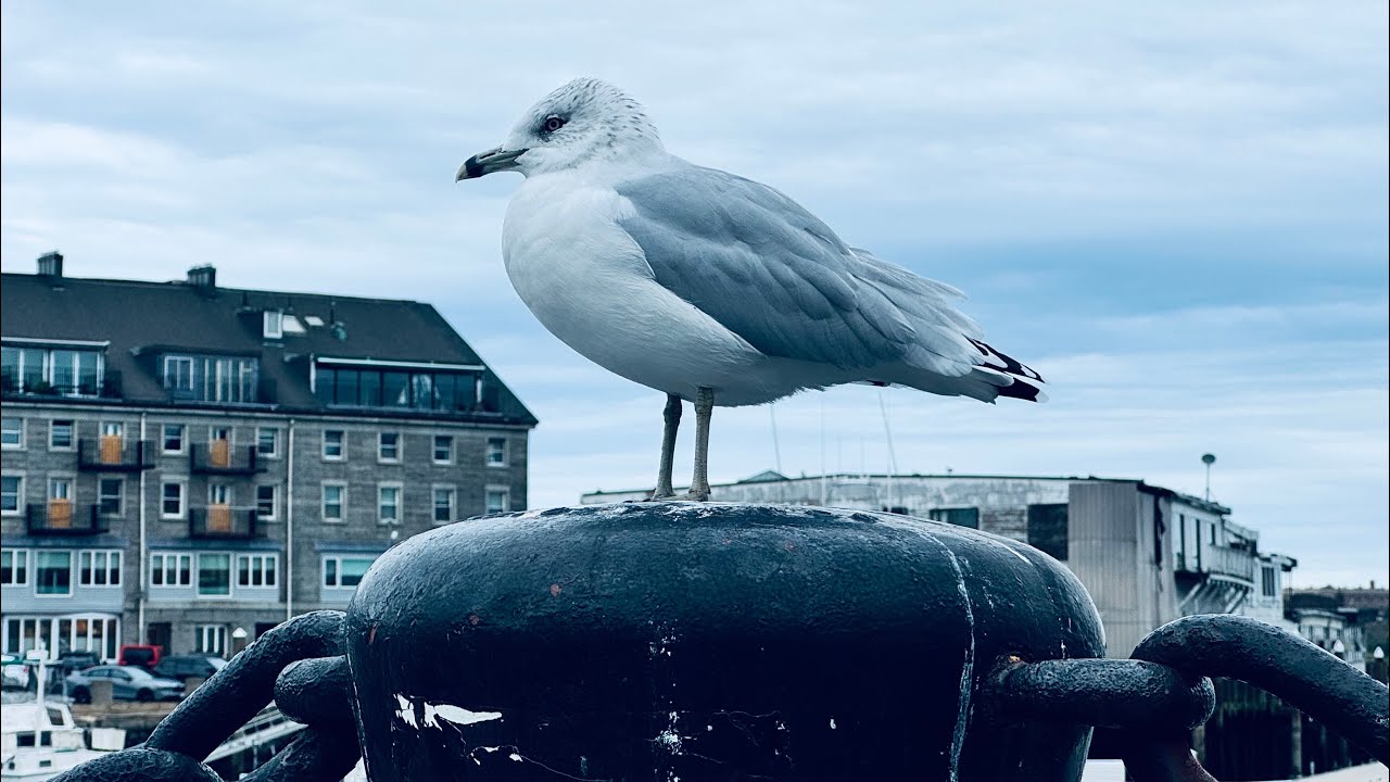 A Lesson in Perseverance from America’s Oldest Ranchers 
