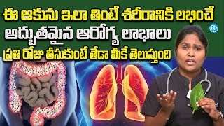 Download Lagu Amazing health benefits of this leaf for the body..| Dr Shaguftha | Gut Health | Lungs Clean | iDream MP3