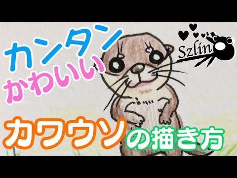 動物イラスト 簡単 可愛い カワウソの描き方 Youtube