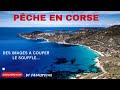 Pche en corse aot 2023 des images  couper le souffle  lets go 