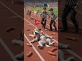 Dog cheat on running a race