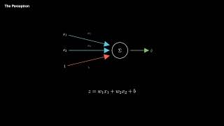 The Perceptron | Module 8 Ep 2