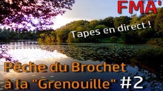 FMA - Pêche Gros Brochet à la Grenouille (Frog) #2 Tapes en Direct !