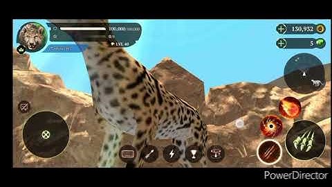 | The Cheetah | All Skill Cooldown Hack  #1