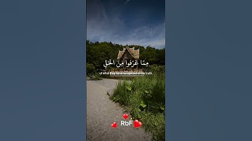 الشيخ سعود الشريم - سورة المائدة #قران_كريم #تلاوة_خاشعة #راحة_نفسية #quran #اكسبلور  #سعود_الشريم
