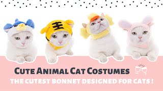 Cute Animal Costume for Cats – Comfortable and Easy to Wear! by Petites Paws 1,135 views 3 years ago 1 minute, 42 seconds