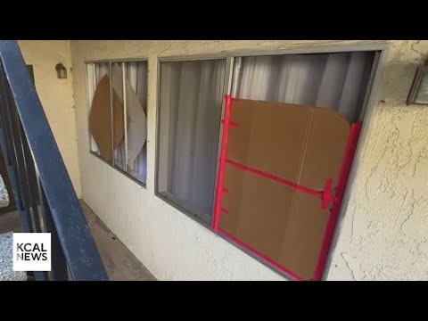 Long Beach apartment resident terrorizes complex