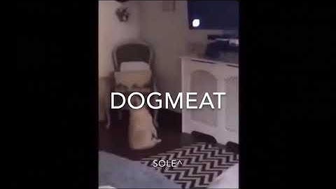 Fallout 4 Vines (No. 1)