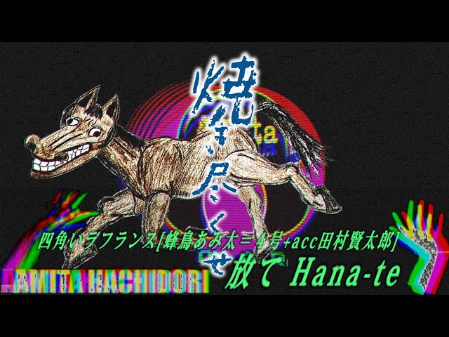 放て Hana-te - 四角いラフランス[蜂鳥あみ太＝4号 + accordion田村