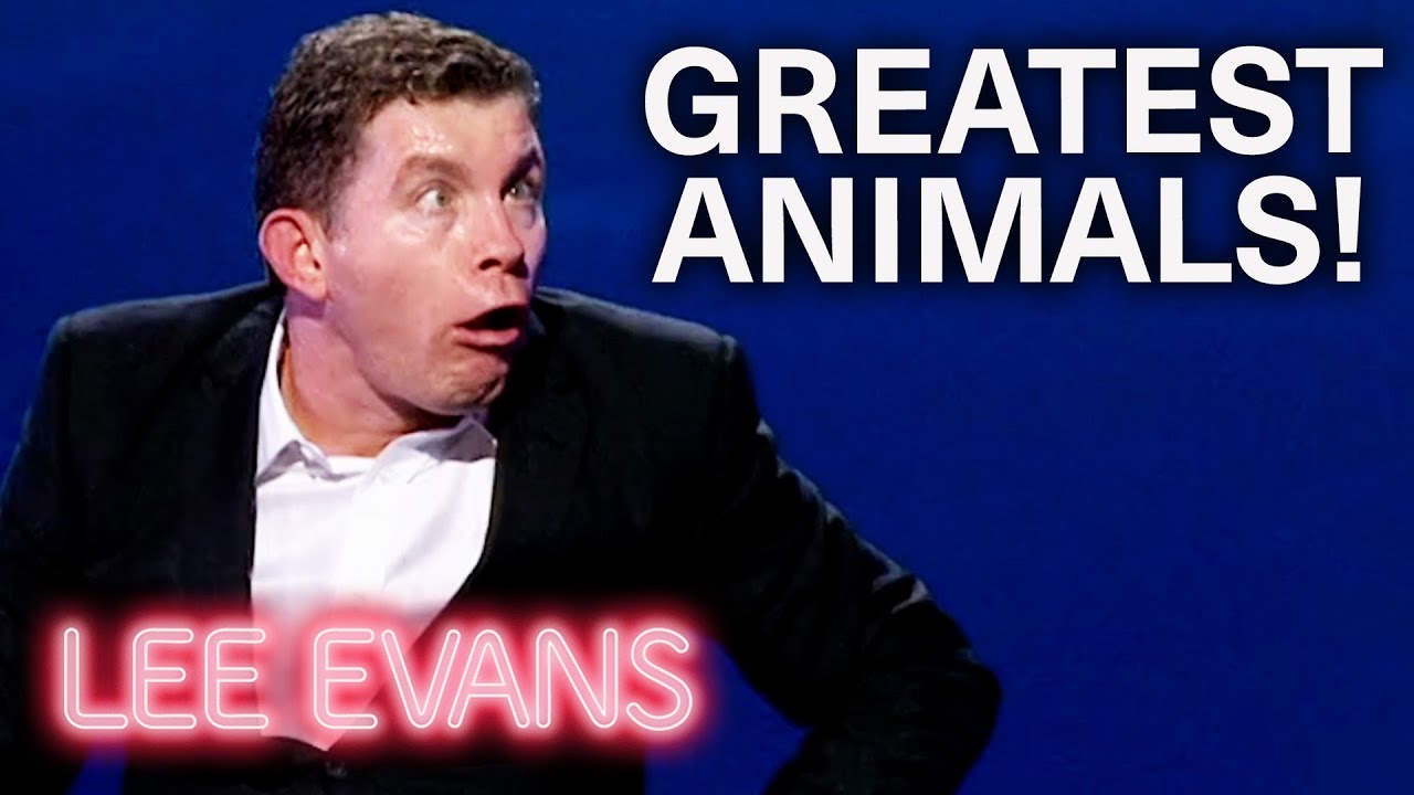 Animals Hilarious Instincts | Big: Live At The O2 | Lee Evans - YouTube