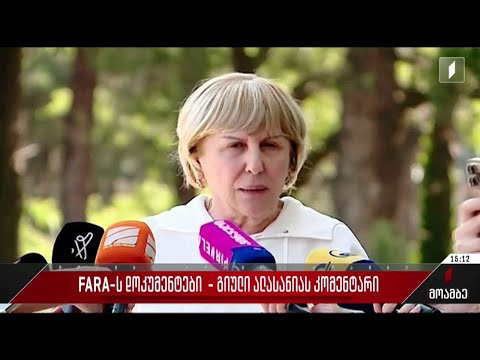 FARA-ს დოკუმენტები - გიული ალასანიას კომენტარი